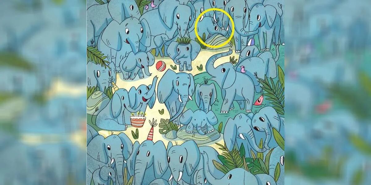 Reto viral: encontrar al rinoceronte oculto entre los elefantes (misión imposible)