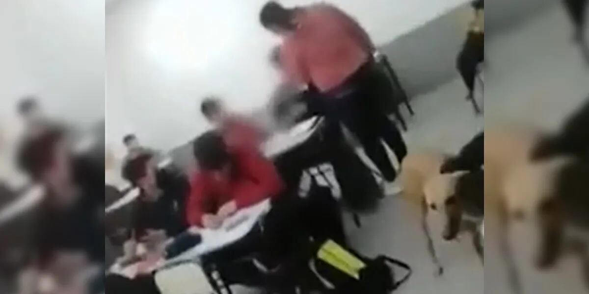 Entró a la escuela y le pegó una cachetada a un alumno por pelear con su hijo.
