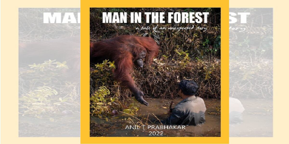 Anih, la orangutana que salvó a un hombre de un río lleno de serpientes