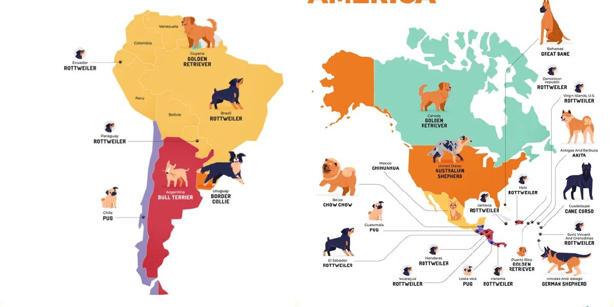 Cuál es la raza de perro más popular en cada país