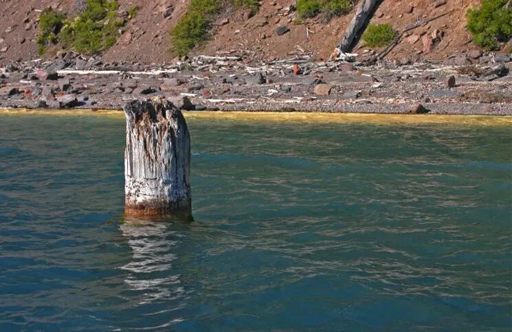 El tronco fue descubierto hace 120 años.
