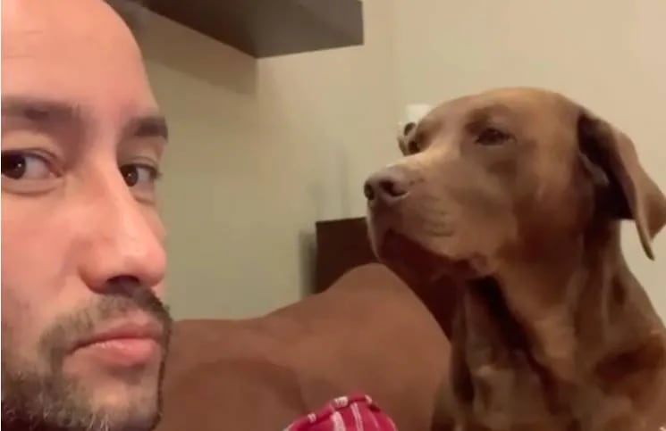 "No está de acuerdo": Luciano Pereyra quiso componer una canción, pero su perro (con mirada desafiante) no lo dejó