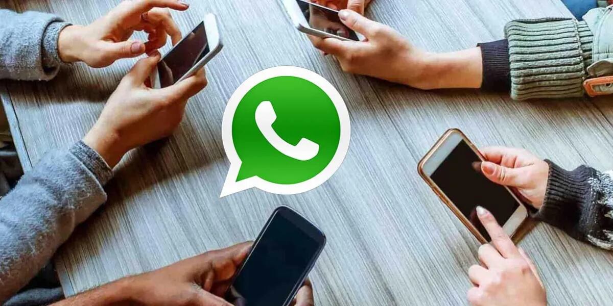 WhatsApp: el super truco para saber con quién chatea otro contacto