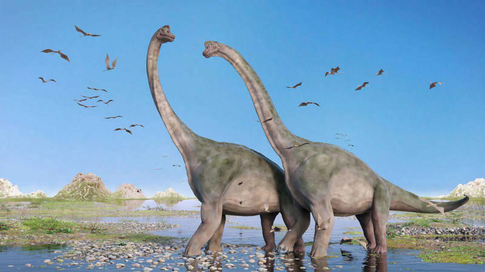 Encontraron embriones de un dinosaurio perfectamente conservados (y las  fotos son de otro planeta) | Radio Mitre