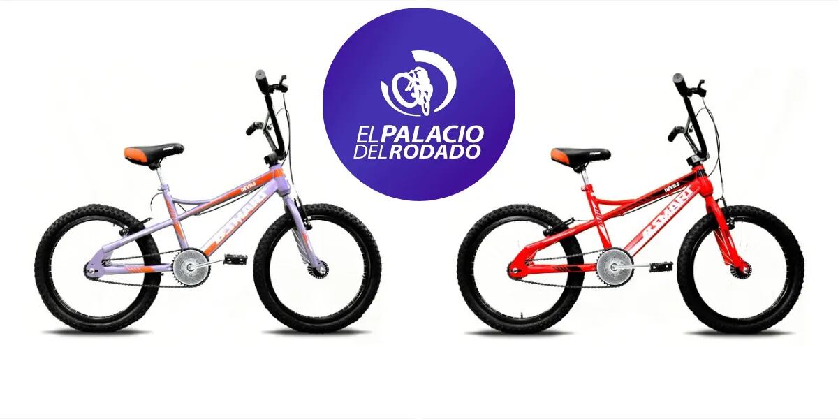 Se viene el Día de la Niñez y junto a El Palacio del Rodado te regalamos una bicicleta