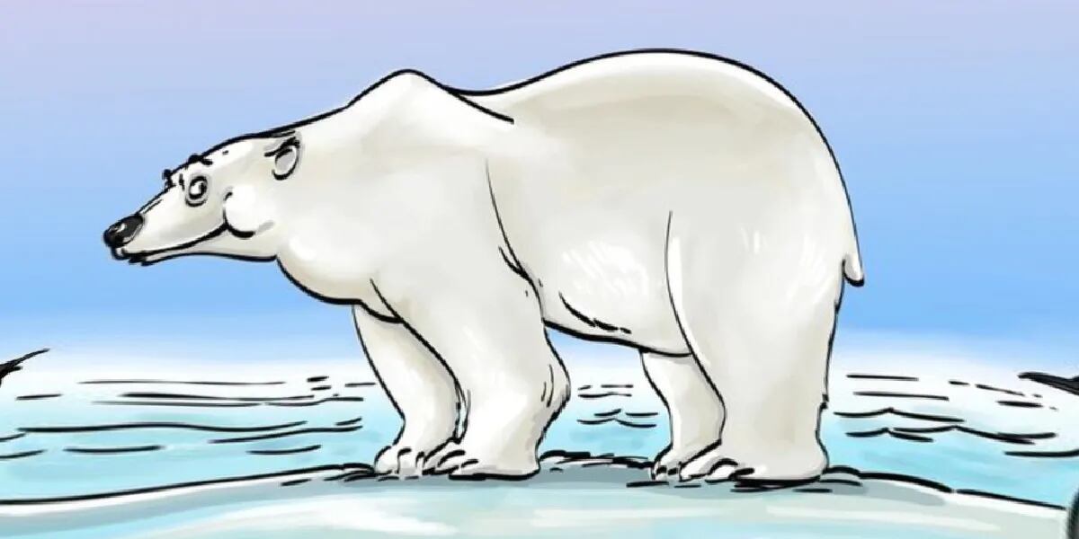 Reto visual para resolver en 10 segundos: encontrar el error en el oso polar