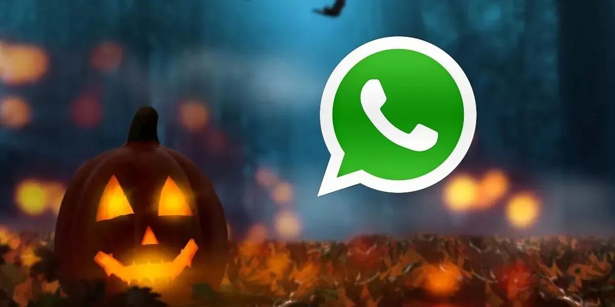 Whatsapp presenta el nuevo “modo Halooween”: ¿Cómo activarlo?