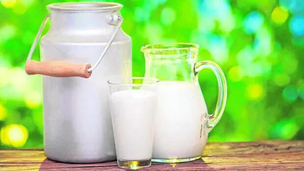 Tecnología: reutilizar la leche de descarte para alimento animal