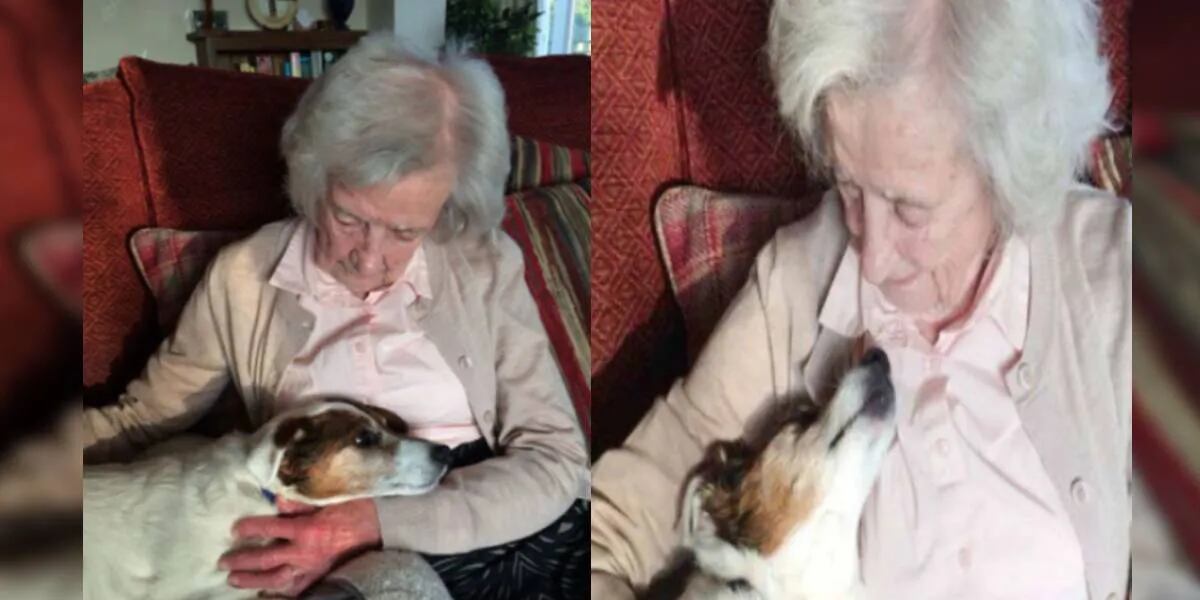 Tiene 96 años y adoptó a un perro adulto para que sea su fiel compañero