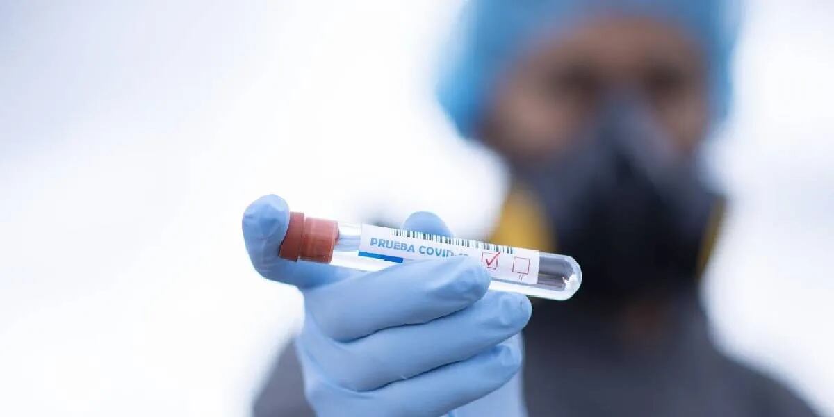 Desarrollaron un test que distingue si los anticuerpos son generados por la vacunación o por haber contraído coronavirus