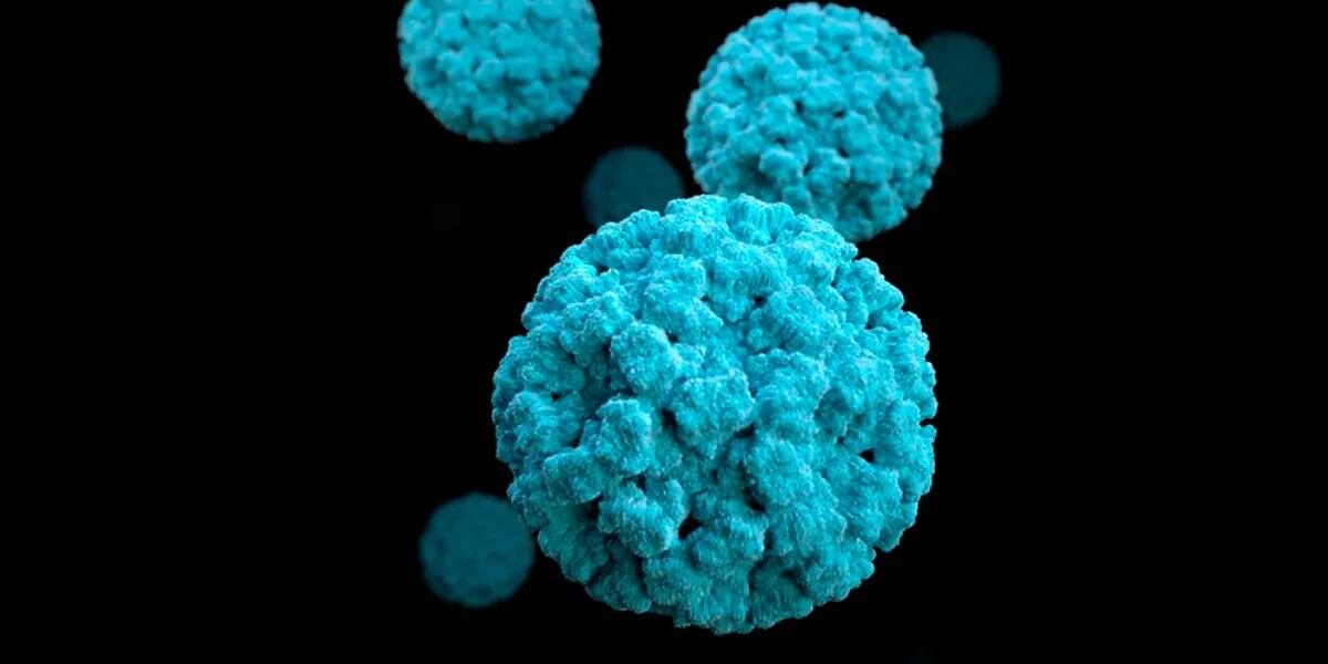 Norovirus: qué alimentos pueden transmitir la enfermedad con mayor facilidad