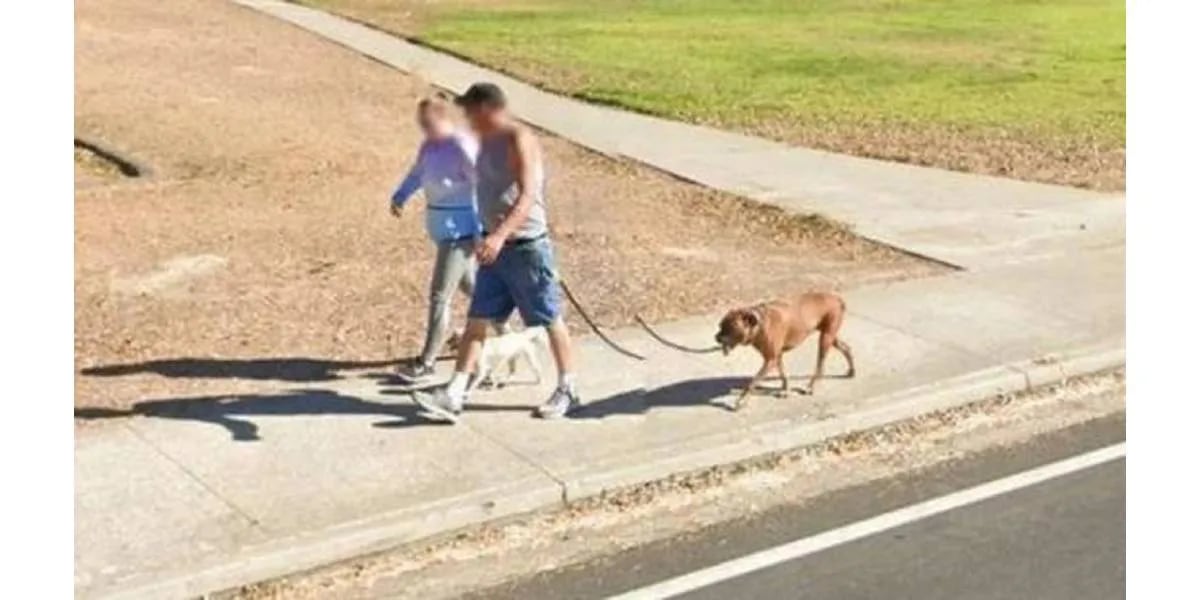 Descubrieron en Google Maps un perro con seis patas