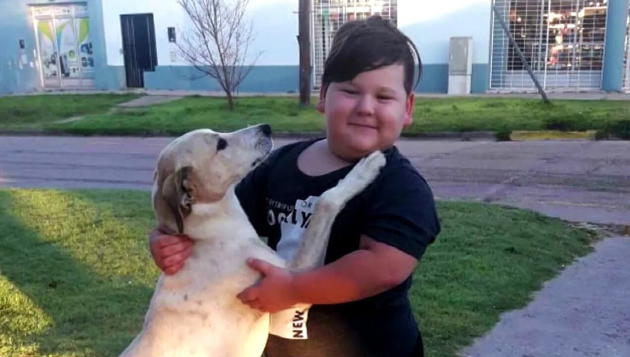Tiene 5 años y armó una rifa para alimentar a los perros callejeros del barrio