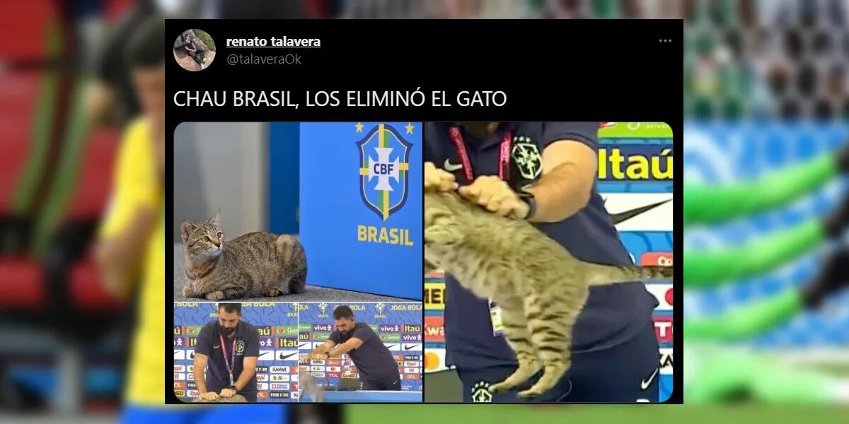 Brasil quedó eliminado del Mundial Qatar 2022 por Croacia y los memes se hicieron un festín: "La maldición del gato"
