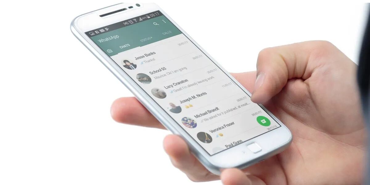 WhatsApp adelantó su nueva función: los administradores del grupo podrán eliminar mensajes del chat