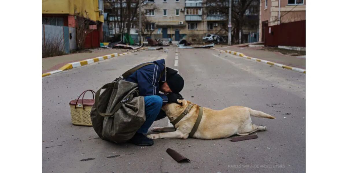 La historia detrás de la desgarradora foto de un hombre abrazando a un perro tras los bombardeos en Ucrania