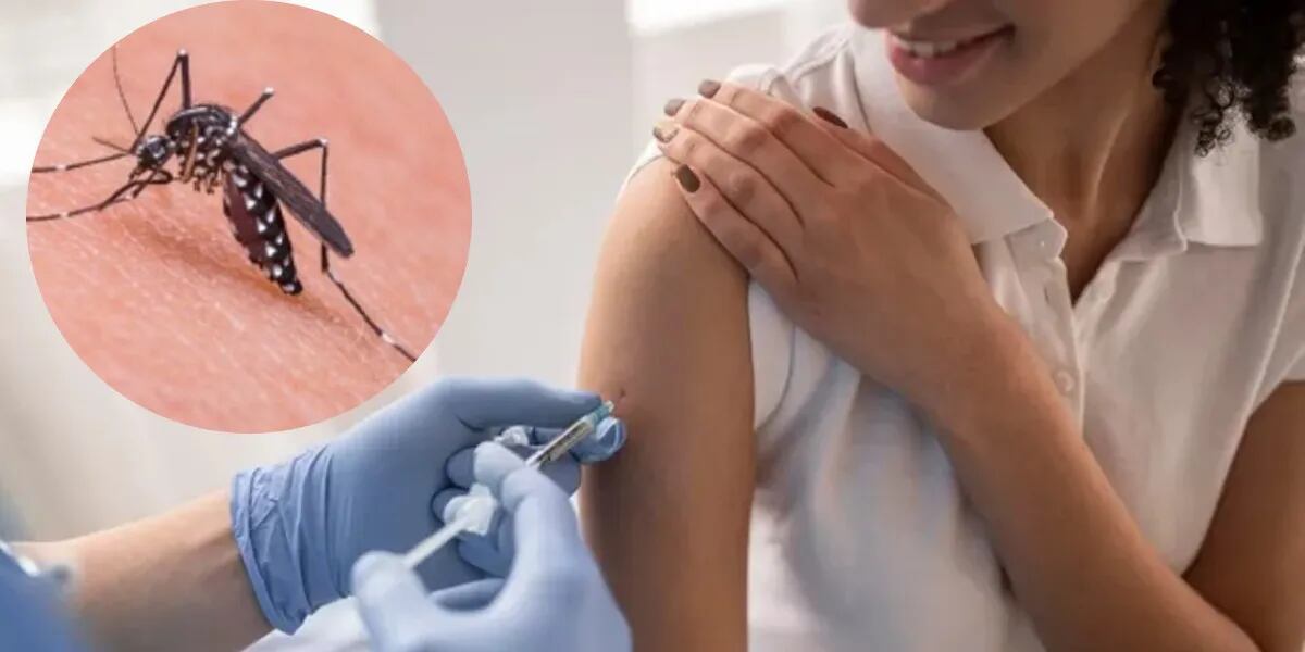 La ANMAT analiza una vacuna japonesa contra el dengue
