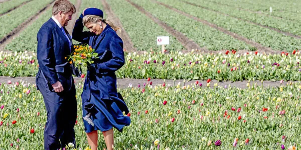 Las desopilantes imágenes de Máxima y Guillermo de los Países Bajos en un campo de tulipanes