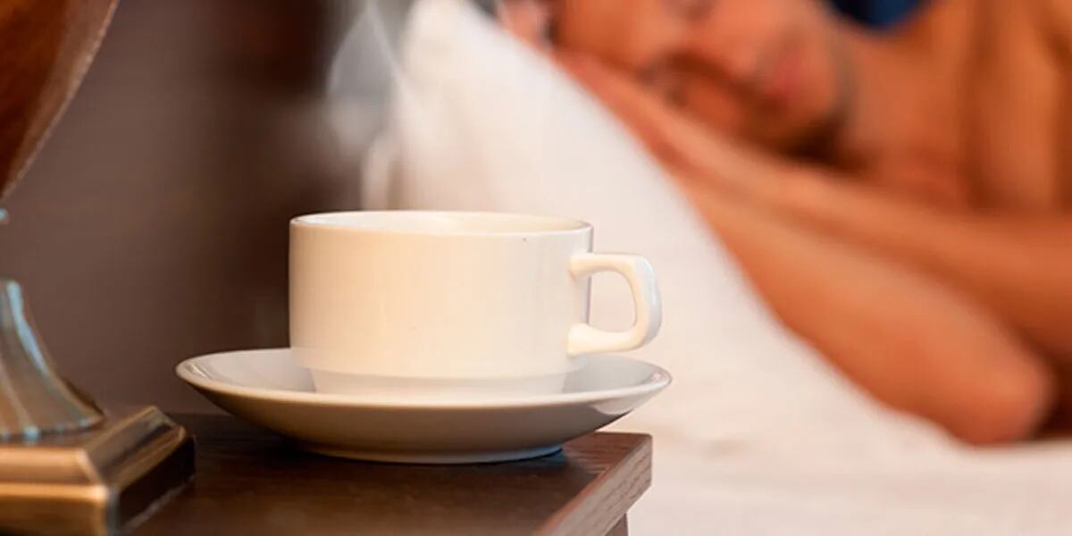 Cuál es el té que conviene tomar de noche, según la Universidad de Harvard