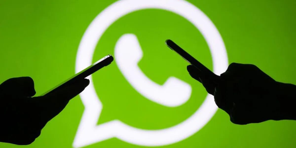 El Gobierno dictó una medida cautelar contra Facebook para que WhatsApp suspenda la nueva política de privacidad