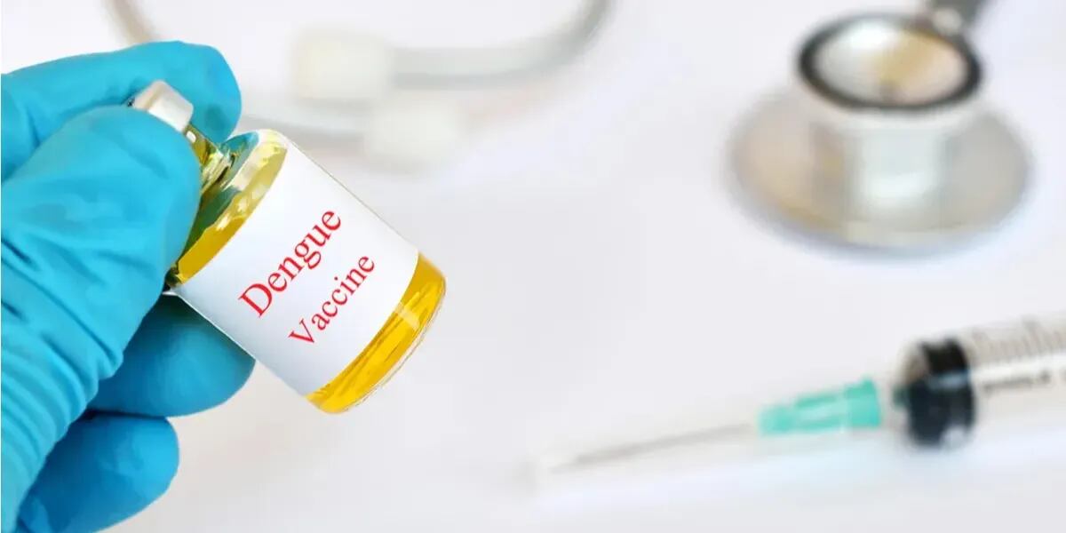 La ANMAT aprobó una vacuna contra el dengue: cuándo llega al país y quiénes podrán recibirla