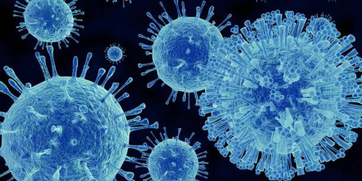 Norovirus: what are the 6 symptoms to watch out for and how to prevent them?