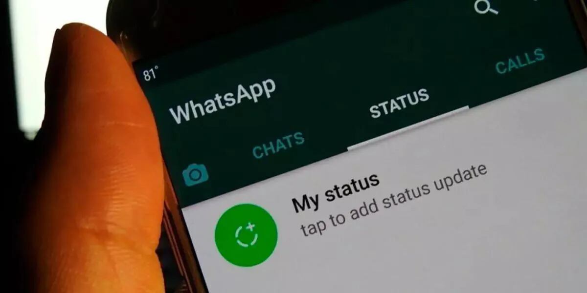 WhatsApp: cómo es la nueva herramienta que permite publicar audios en los estados