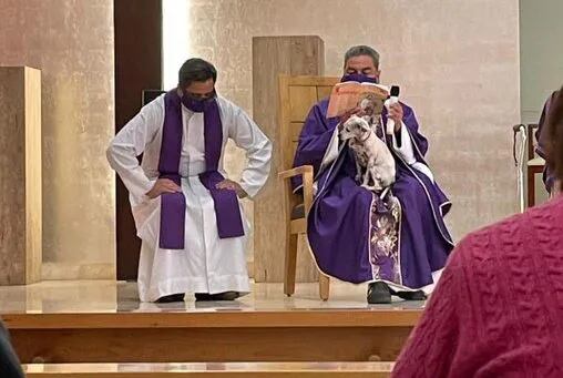 Un sacerdote dio misa junto a su perro enfermo para no dejarlo solo. (Foto: Diario Movil)