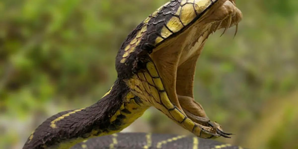 Titanoboa: la enorme serpiente de más de 15 metros de largo capaz que devoraba cocodrilos de un solo bocado