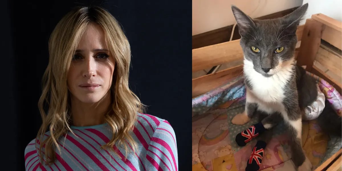 El gesto solidario de Julieta Prandi con un gato que necesita ayuda: "Con amor y tratamiento"