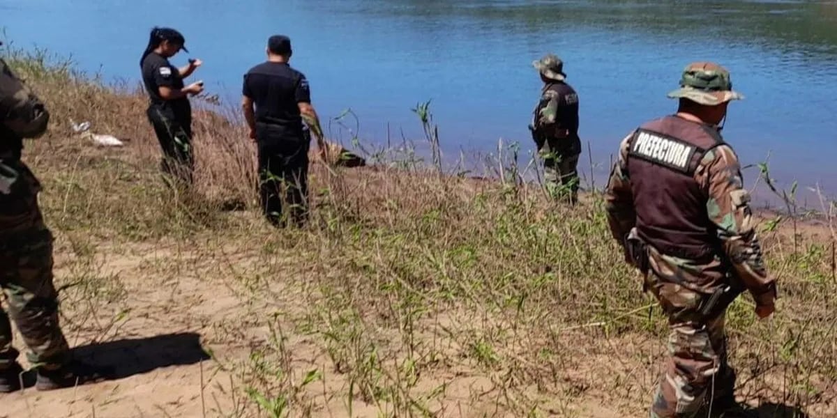 Buscan desesperadamente a dos hermanos de 3 y 7 años en Misiones: su mamá los tiró al río Paraná
