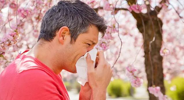 Estornudos, disfonía y picazón: qué son las alergias primaverales y cómo combatirlas