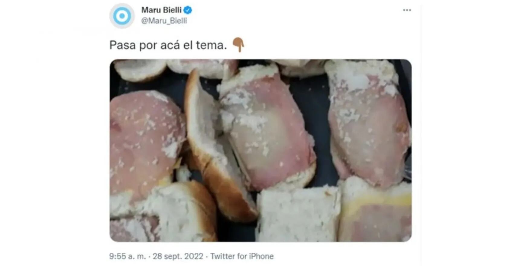 Jorge Lanata apuntó contra María Bielli, por la falsa imagen de los sándwiches “en mal estado”: “La vencida era la foto”
