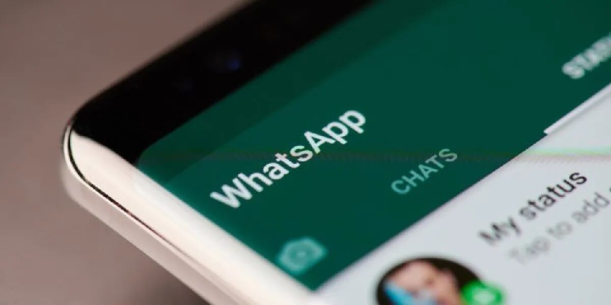 WhatsApp: cuál es el truco para saber con quién chateás más seguido ok foto