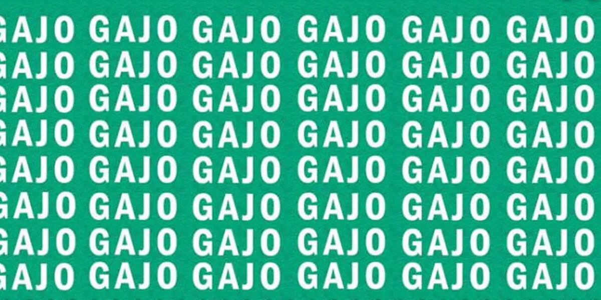 Reto visual para expertos: encontrá la palabra “GATO” en solo 5 segundos 