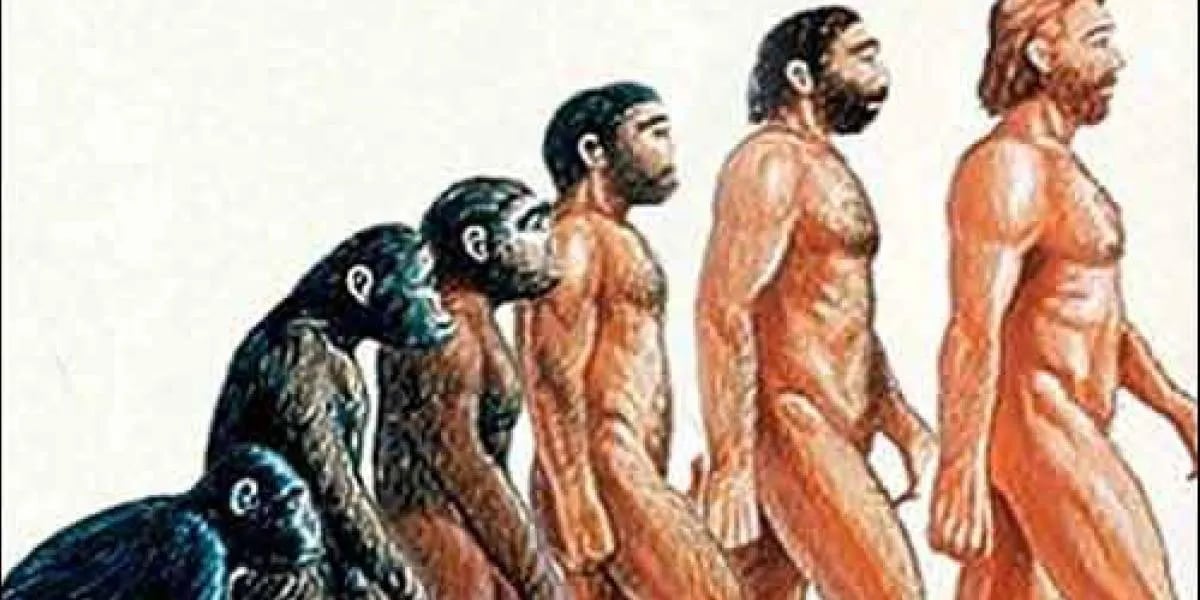 Los ancestros de los humanos ya caminaban erguidos hace siete millones de años, según un estudio