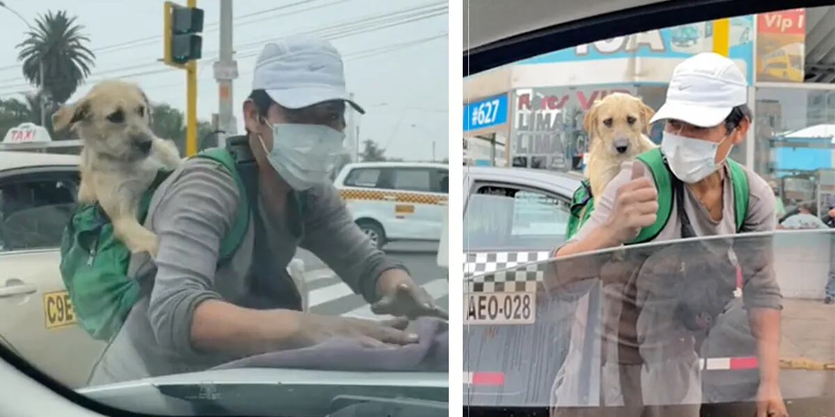 Salió a trabajar con su perro en una mochila y las imágenes se hicieron virales