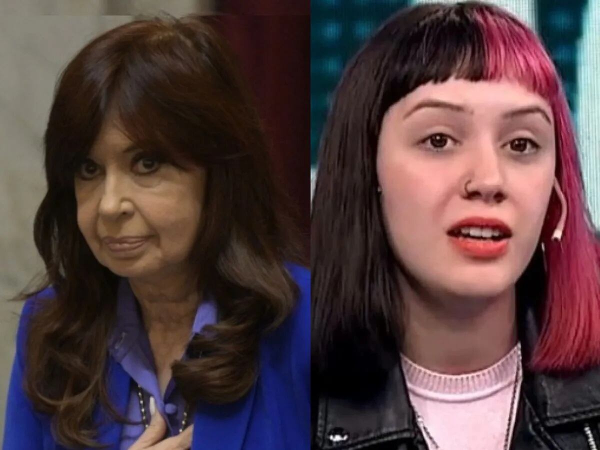 Cristina Kirchner pidió que Delfina Wagner y su vecina de Recoleta sean investigadas por el intento de asesinato