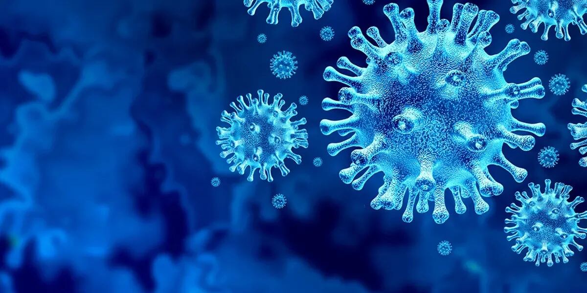 Coronavirus: la variante Ómicron BA.5 ya está en Argentina y podría haber un nuevo crecimiento de casos