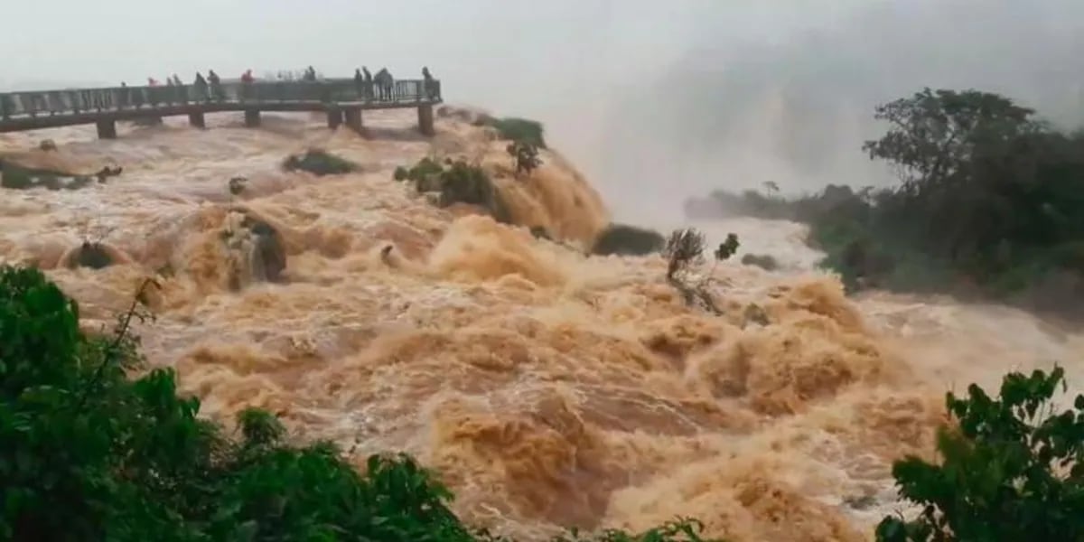 🔴 Se cayó un hombre por las Cataratas del Iguazú: lo buscan desesperadamente
