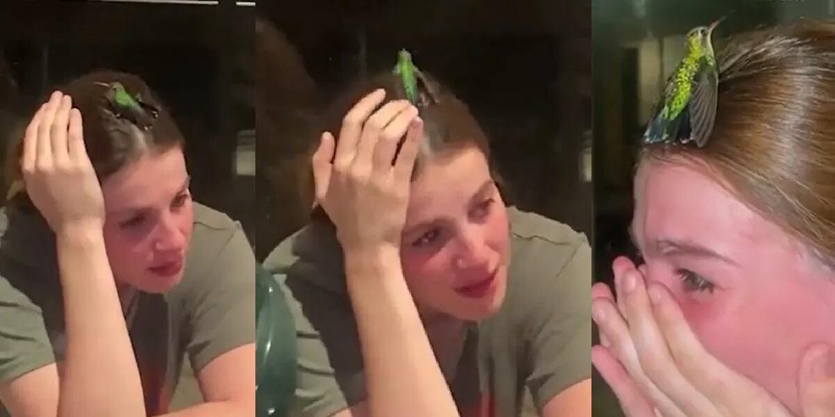 Perdió a su mascota, la visitó un colibrí y su emoción se volvió viral: “Una señal”