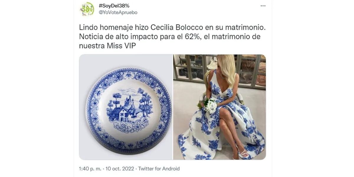 Cecilia Bolocco se casó y su vestido generó una cataratas de memes