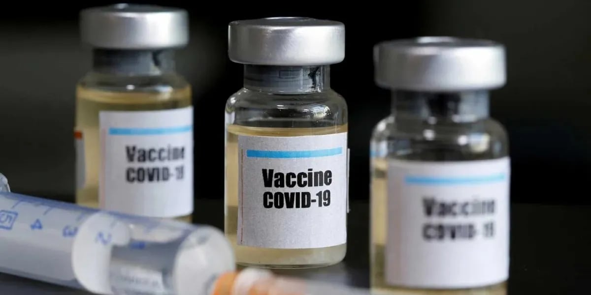Descartaron más de 700 mil vacunas de Moderna por la presencia de un mosquito