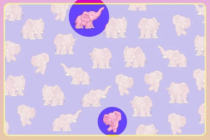 Reto visual que solo el 5% pudo resolver: encontrar a los dos elefantes diferentes