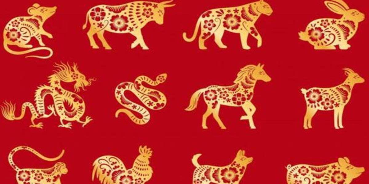 Se viene el año del Tigre: las predicciones del horóscopo chino para 2022