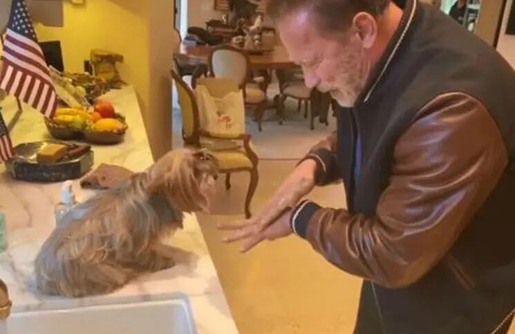 Coronavirus: Arnold Schwarzenegger subió un video explicando como lavarse las manos