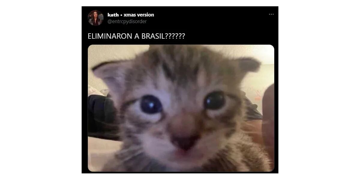 Brasil quedó eliminado del Mundial Qatar 2022 por Croacia y los memes se hicieron un festín: "La maldición del gato"
