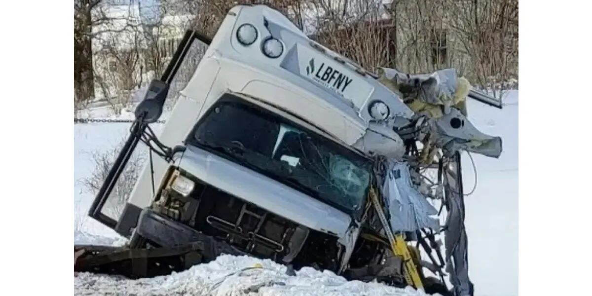 Murieron 6: un micro chocó de frente contra un camión y se desató una terrible tragedia