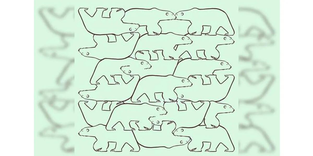 Reto visual para detallistas: encontrá cuántos osos completos hay en el dibujo