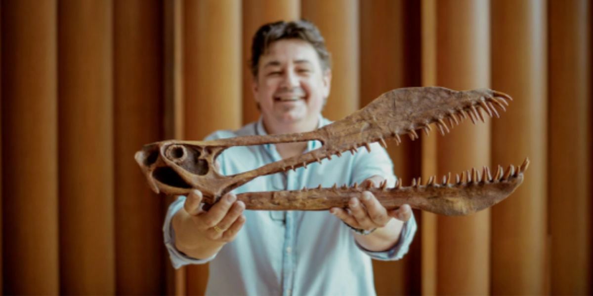 Encontraron un enorme dinosaurio volador en Australia y lo calificaron de “ temible dragón” | La 100